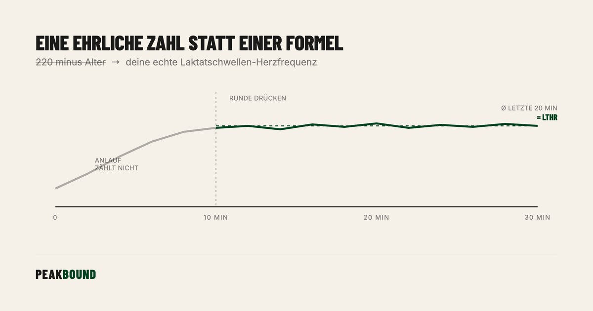 Schematische Zusammenfassung: Der 30-Minuten-Test: So findest du deine echten Herzfrequenzzonen