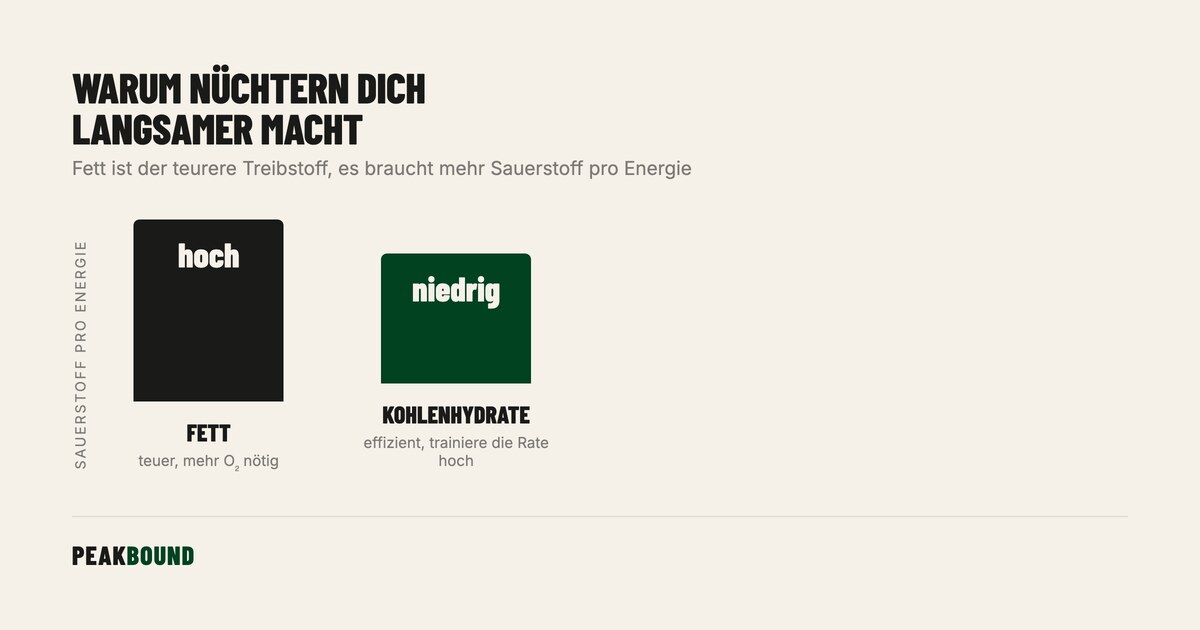 Schematische Zusammenfassung: Laufe niemals nüchtern: Warum der Fettverbrennungs-Mythos dich langsamer macht